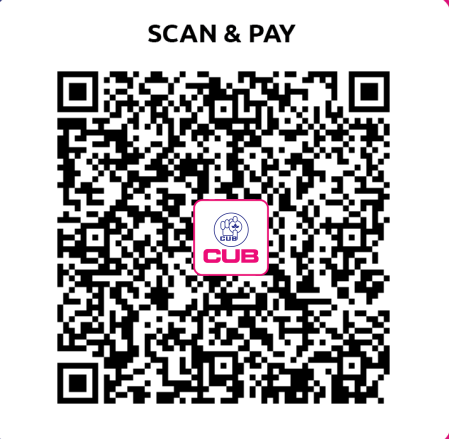 UPI QR Code
